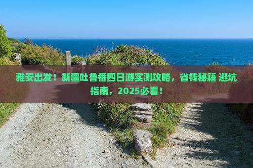 雅安去新疆吐鲁番四日游