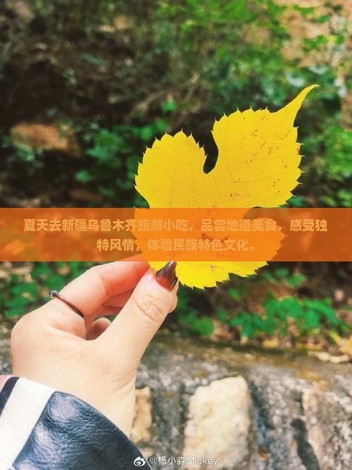 夏天去新疆乌鲁木齐旅游小吃