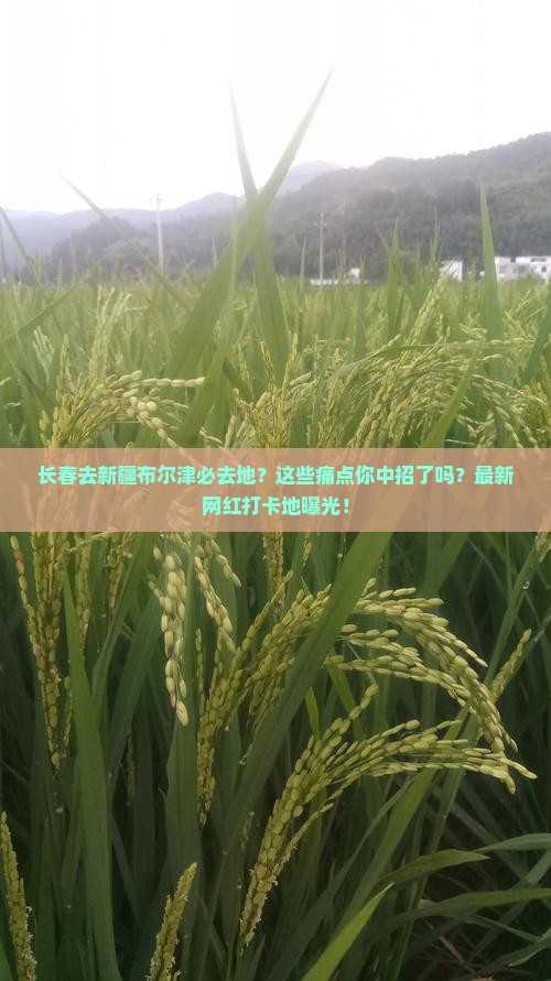 长春去新疆布尔津必去地