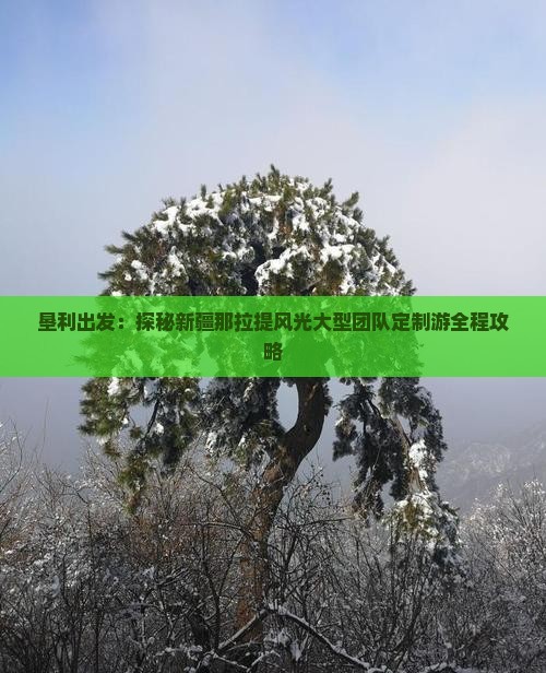 垦利出发：探秘新疆那拉提风光大型团队定制游全程攻略
