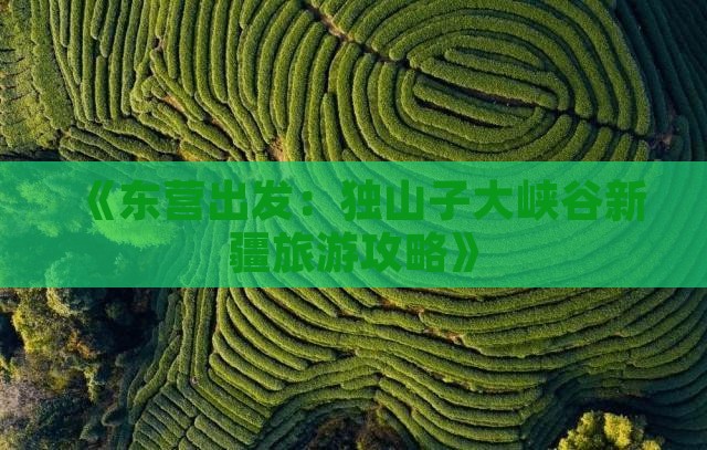 《东营出发：独山子大峡谷新疆旅游攻略》