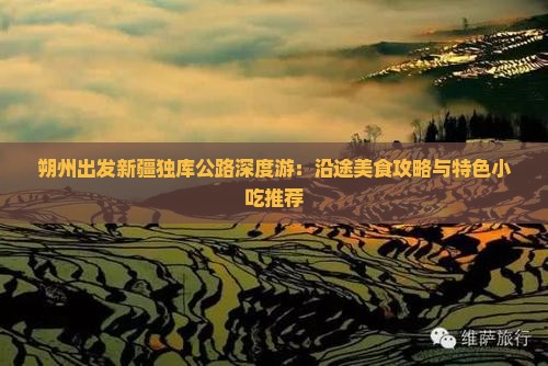 朔州出发新疆独库公路深度游：沿途美食攻略与特色小吃推荐
