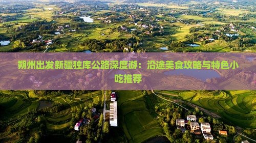 朔州出发新疆独库公路深度游：沿途美食攻略与特色小吃推荐