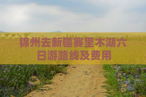 锦州去新疆赛里木湖六日游路线及费用