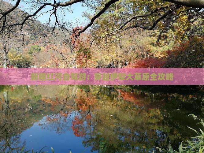 新疆红河自驾游：穿越伊犁大草原全攻略