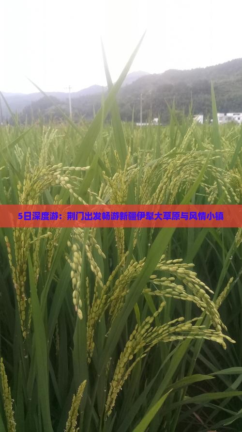 5日深度游：荆门出发畅游新疆伊犁大草原与风情小镇