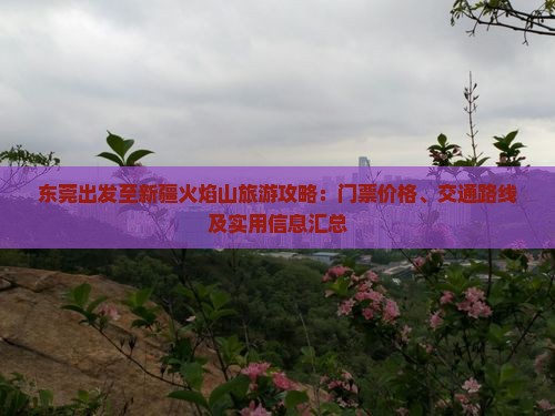东莞出发至新疆火焰山旅游攻略：门票价格、交通路线及实用信息汇总