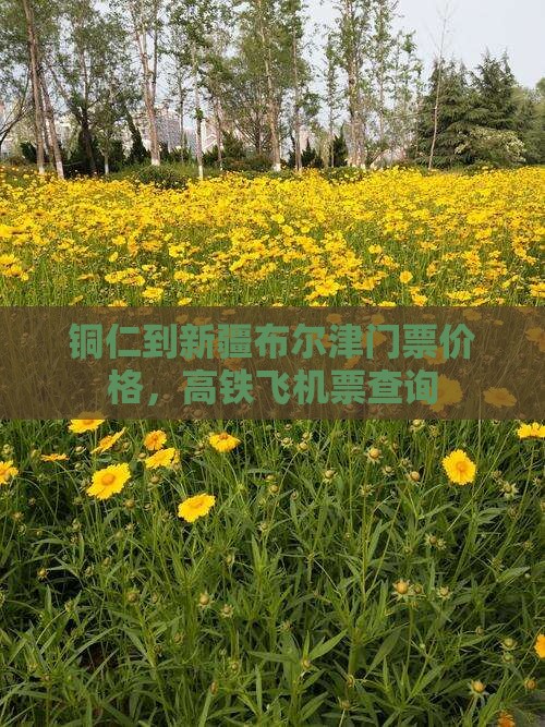 铜仁到新疆布尔津门票价格，高铁飞机票查询