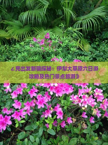 ∠充出发新疆探秘：伊犁大草原六日游攻略及热门景点旅游》