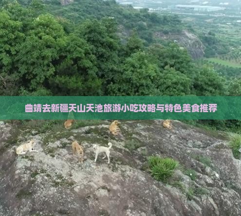 曲靖去新疆天山天池旅游小吃攻略与特色美食推荐