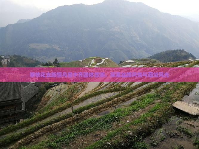 攀枝花去新疆乌鲁木齐团体旅游，探索丝路风情与西域风光
