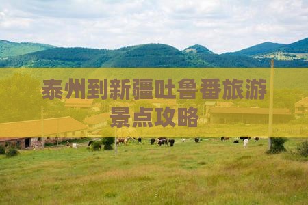 泰州到新疆吐鲁番旅游景点攻略
