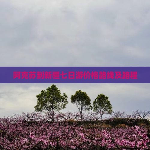 阿克苏到新疆七日游价格路线及路程