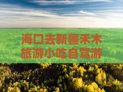 海口去新疆禾木旅游小吃自驾游攻略