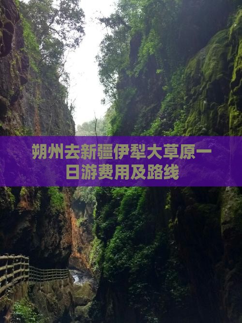 朔州去新疆伊犁大草原一日游费用及路线