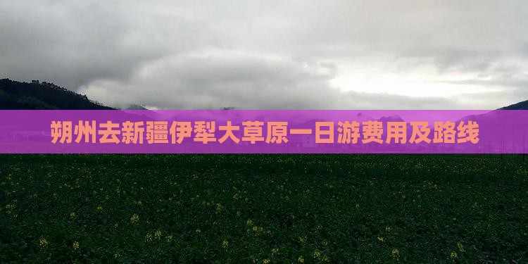 朔州去新疆伊犁大草原一日游费用及路线