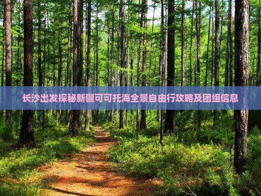 长沙出发探秘新疆可可托海全景自由行攻略及团组信息