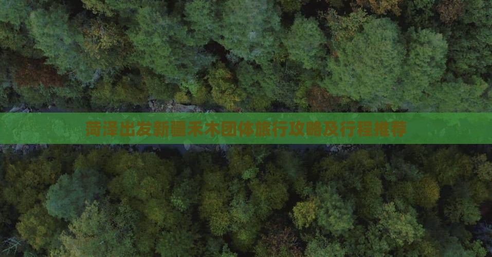 菏泽出发新疆禾木团体旅行攻略及行程推荐