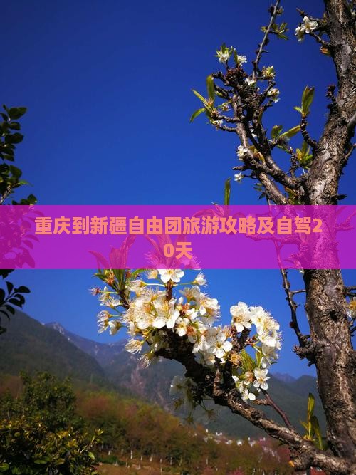 重庆到新疆自由团旅游攻略及自驾20天