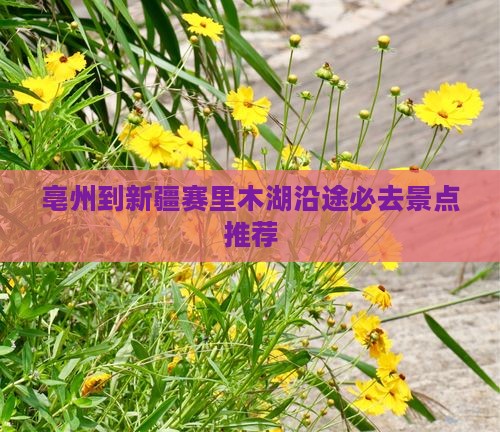亳州到新疆赛里木湖沿途必去景点推荐
