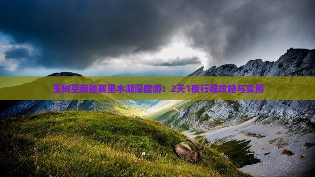 玉树至新疆赛里木湖深度游：2天1夜行程攻略与实用