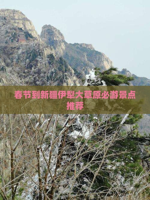 春节到新疆伊犁大草原必游景点推荐