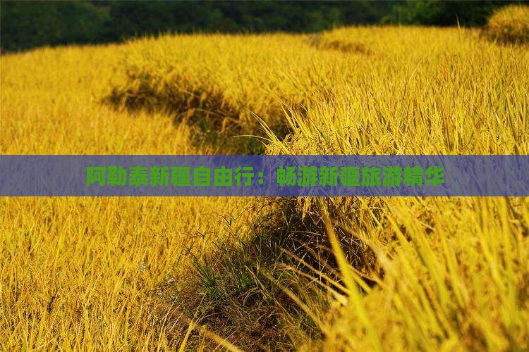 阿勒泰新疆自由行：畅游新疆旅游精华