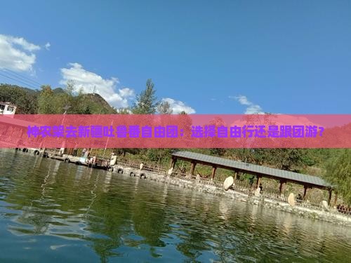 神农架去新疆吐鲁番自由团：选择自由行还是跟团游？