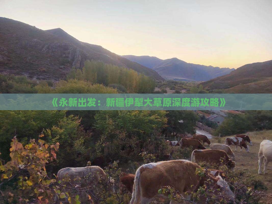《永新出发：新疆伊犁大草原深度游攻略》