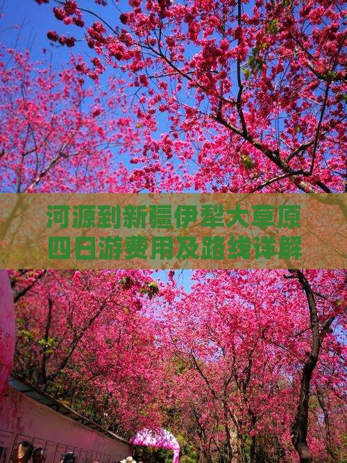 河源到新疆伊犁大草原四日游费用及路线详解