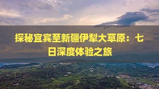 探秘宜宾至新疆伊犁大草原：七日深度体验之旅