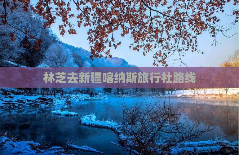 林芝去新疆喀纳斯旅行社路线