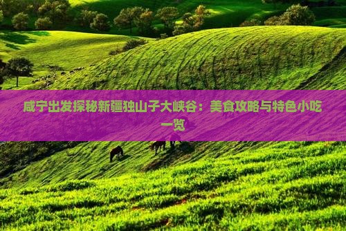 咸宁出发探秘新疆独山子大峡谷：美食攻略与特色小吃一览
