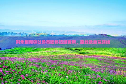 荆州到新疆吐鲁番团体旅游费用、路线及自驾路线