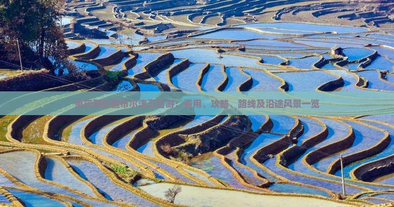 重庆到新疆布尔津五日游：费用、攻略、路线及沿途风景一览