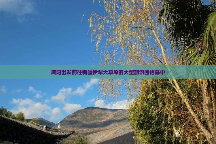 咸阳出发前往新疆伊犁大草原的大型旅游团招募中