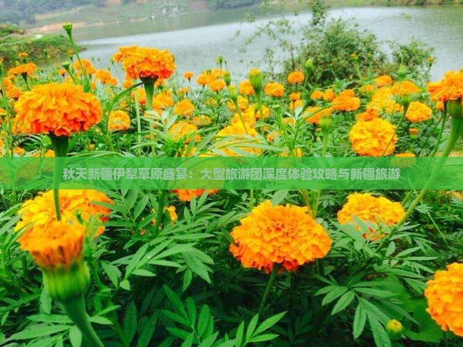 秋天新疆伊犁草原盛宴：大型旅游团深度体验攻略与新疆旅游