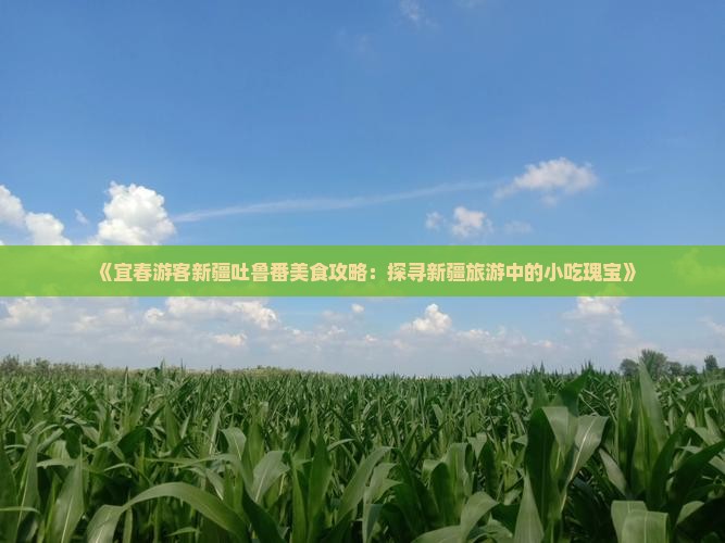 《宜春游客新疆吐鲁番美食攻略：探寻新疆旅游中的小吃瑰宝》
