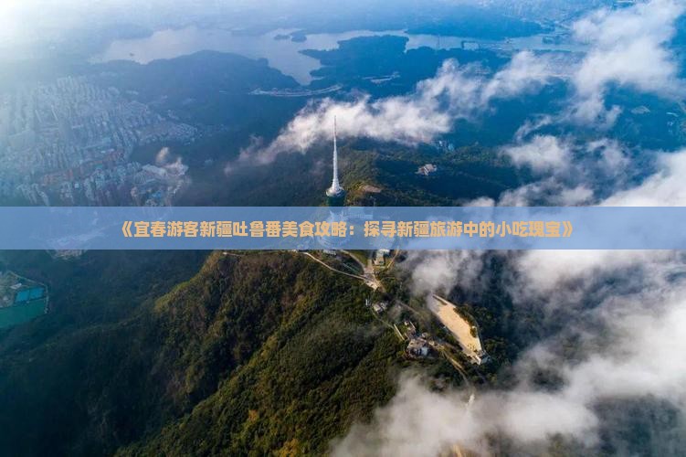 《宜春游客新疆吐鲁番美食攻略：探寻新疆旅游中的小吃瑰宝》