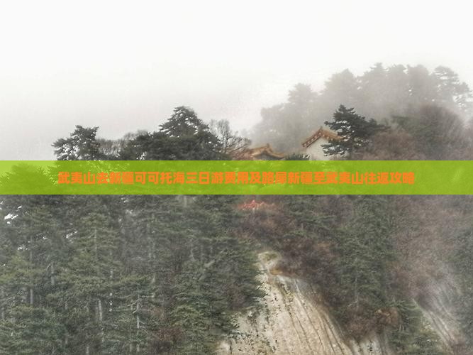 武夷山去新疆可可托海三日游费用及路犀新疆至武夷山往返攻略