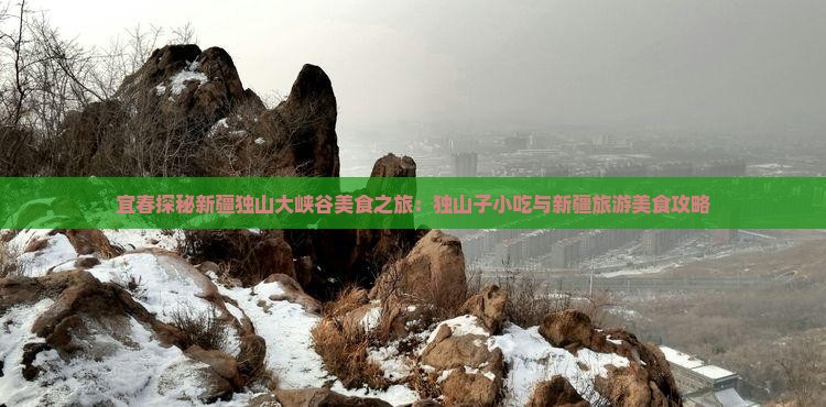 宜春探秘新疆独山大峡谷美食之旅：独山子小吃与新疆旅游美食攻略