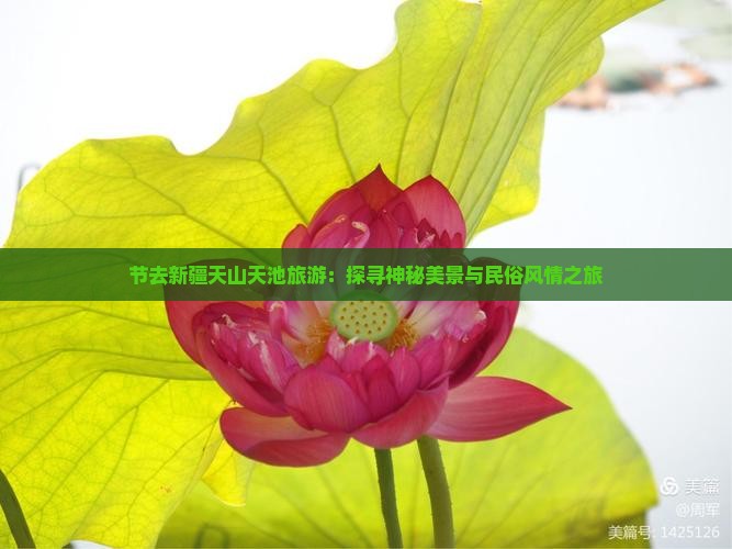 节去新疆天山天池旅游：探寻神秘美景与民俗风情之旅