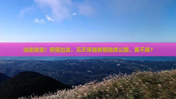 鹤壁去新疆独库公路五日游