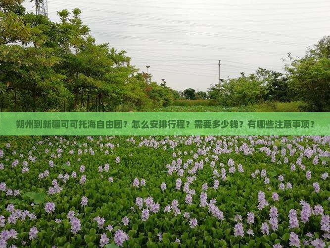 朔州到新疆可可托海自由团