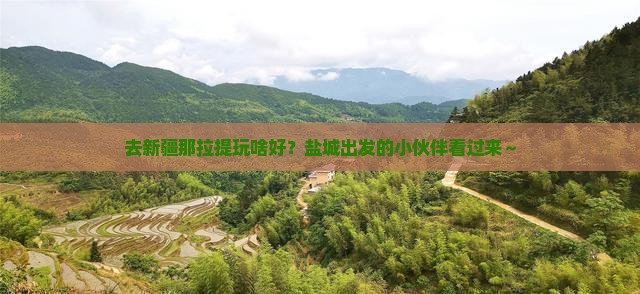 盐城去新疆那拉提哪里玩