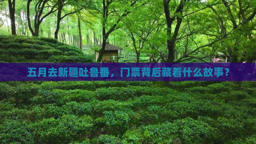 五月去新疆吐鲁番门票