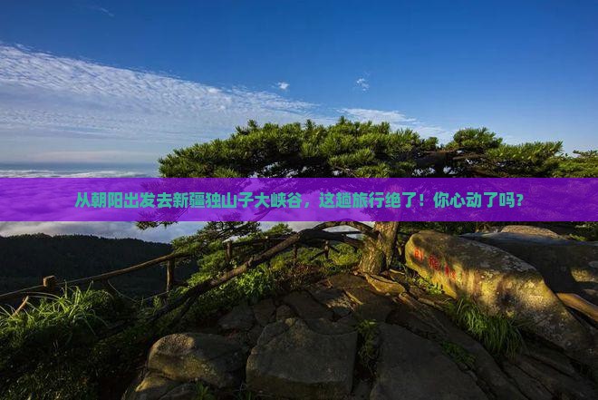 朝阳到新疆独山子大峡谷旅游