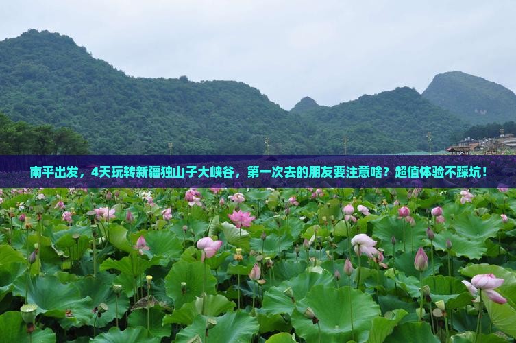 南平去新疆独山子大峡谷四日游 南平去新疆独山子大峡谷四日游