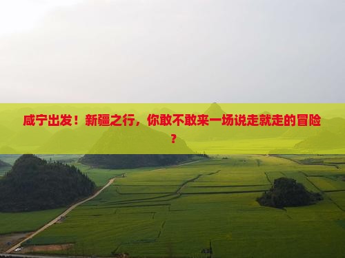 咸宁去新疆旅游