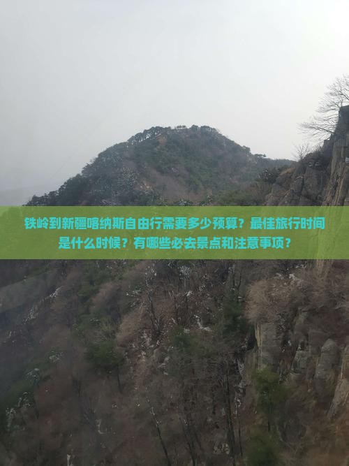 铁岭到新疆喀纳斯自由行